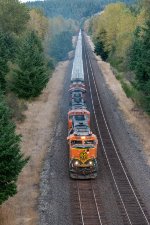 BNSF 1454